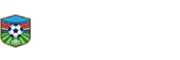 世界杯小组赛直播
